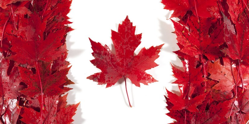флаг канады из кленовых листьев